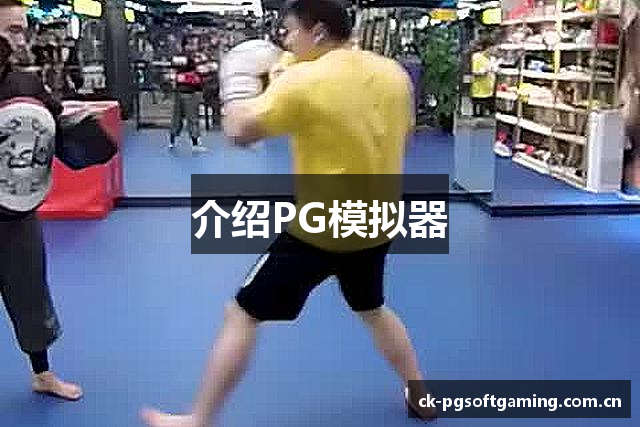 介绍PG模拟器
